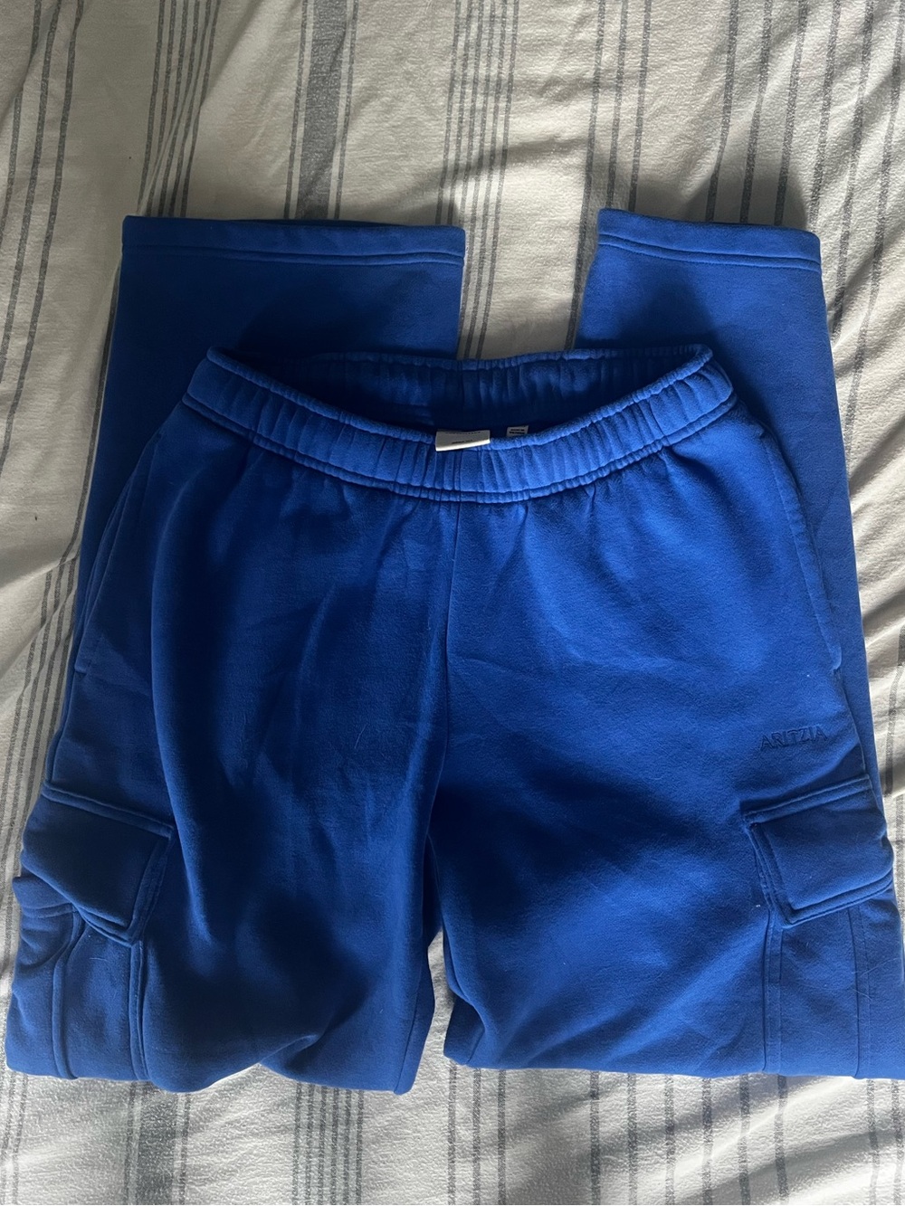 Aritzia Jaz Blue Cargo Sweats